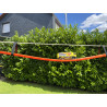 Suspentes pour pont suspendus - Pack de 10